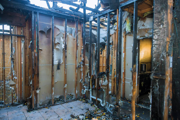 Professional Odor Removal technician working in Bordentown, NJ