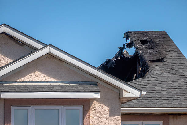Top rated local Odor Removal specialists in Bordentown, NJ